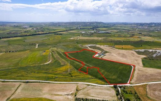 Agricultural field in Kalo Chorio, Larnaca