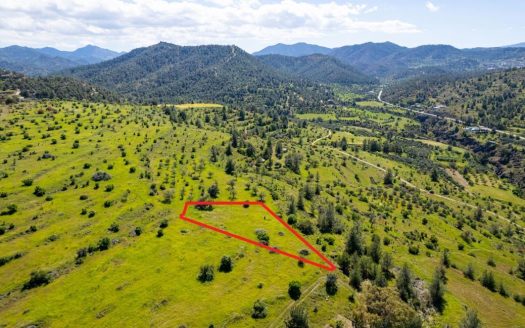 Agricultural field in Kalo Chorio Oreinis, Nicosia