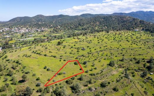 Agricultural field in Kalo Chorio Oreinis, Nicosia