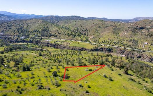 Agricultural field in Kalo Chorio Oreinis, Nicosia
