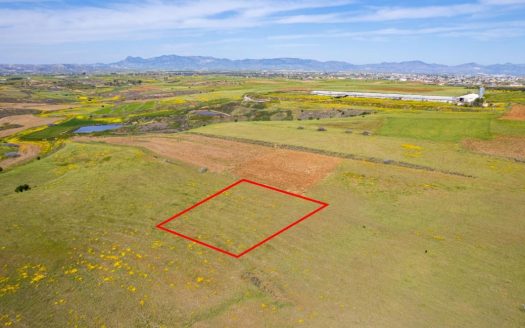Agricultural field in Palaiometocho, Nicosia