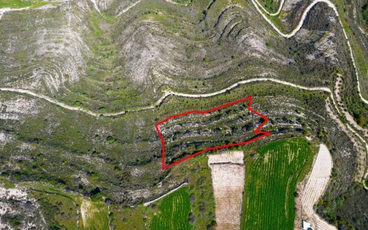 Agricultural field in Pachna, Limassol