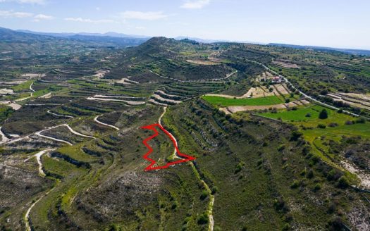 Agricultural field in Pachna, Limassol