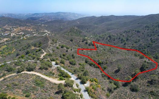 Shared field in Sanida, Limassol