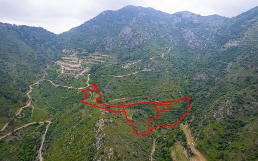 Field in Agioi Vavatsinias, Larnaca