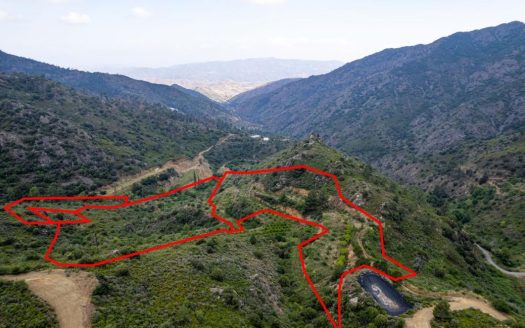 Field in Agioi Vavatsinias, Larnaca