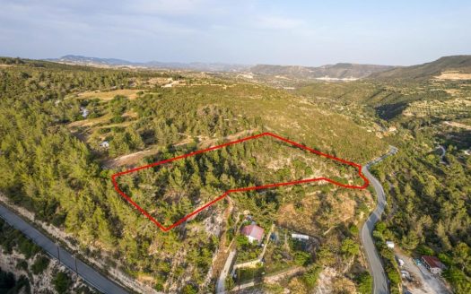 Field in Agios Therapon, Limassol