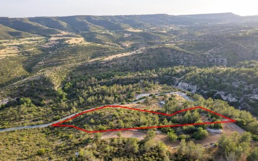 Field in Agios Therapon, Limassol