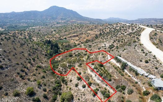 Agricultural field in Anglisides, Larnaca