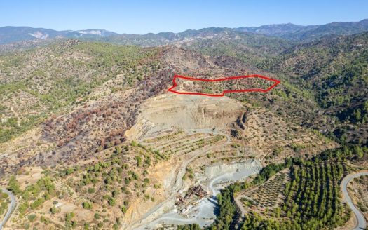 Agricultural field in Pelendri, Limassol