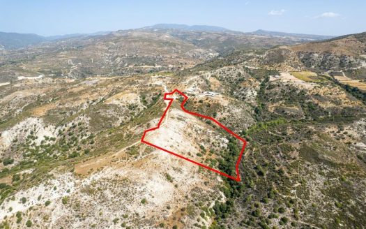 Field in Dora, Limassol