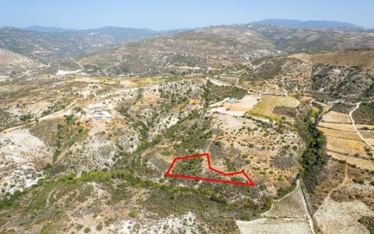 Field in Dora, Limassol