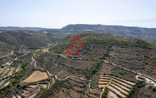 Field in Dora, Limassol