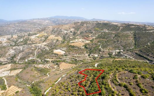 Field in Dora, Limassol