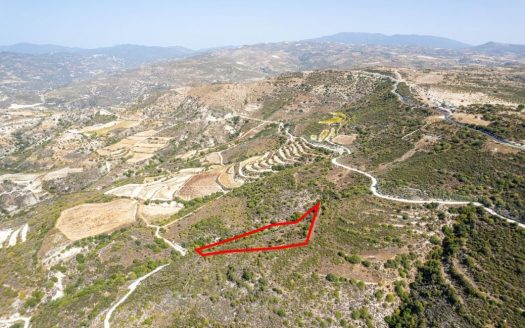 Field in Dora, Limassol