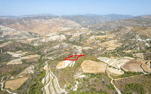 Field in Dora, Limassol