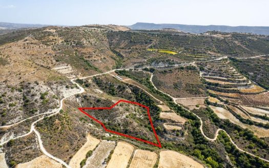 Field in Dora, Limassol