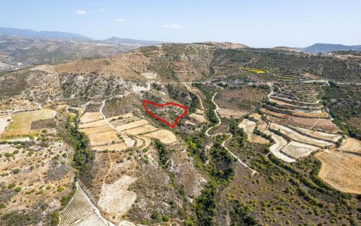 Field in Dora, Limassol