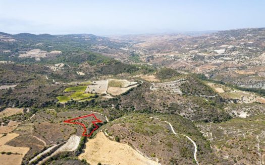 Field in Dora, Limassol