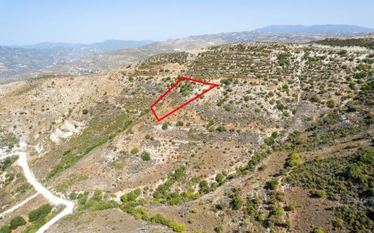 Field in Dora, Limassol