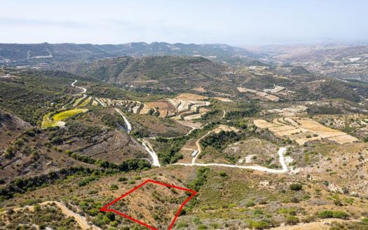 Field in Dora, Limassol