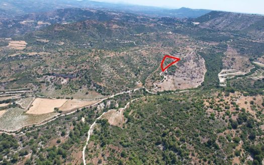 Field in Mousere, Paphos