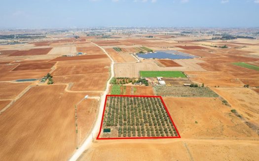 Agricultural field in Avgorou, Famagusta