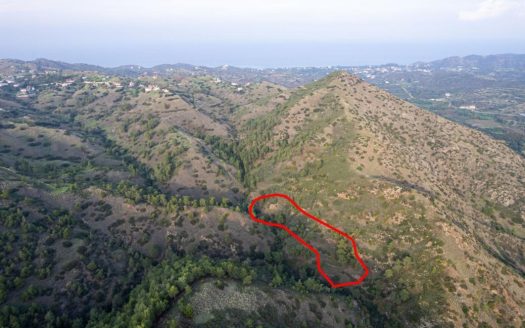 Shared agricultural field in Pigenia, Nicosia
