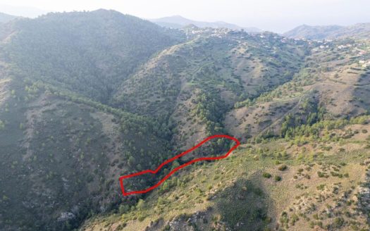 Shared agricultural field in Pigenia, Nicosia