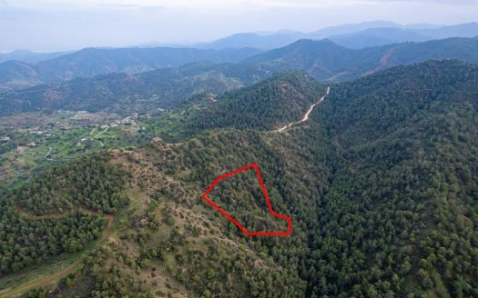 Agricultural field in Pano Pyrgos, Nicosia
