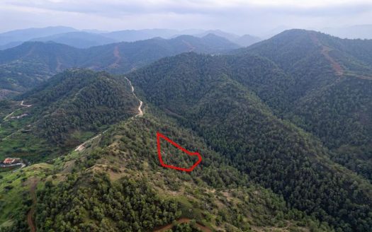 Agricultural field in Pano Pyrgos, Nicosia