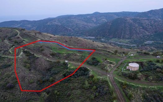Shared agricultural field in Pano Pyrgos, Nicosia