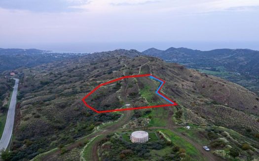 Shared agricultural field in Pano Pyrgos, Nicosia