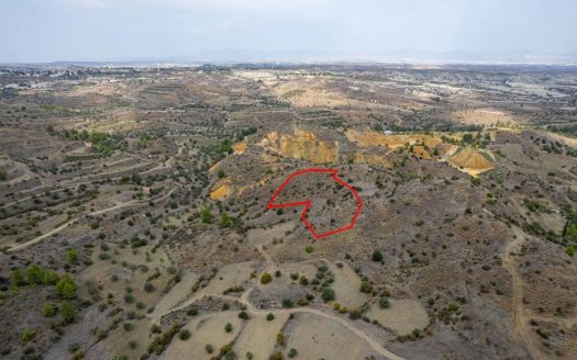 Field in Kapedes, Nicosia