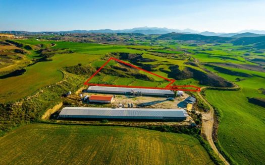 Agricultural field in Agios Ioannis, Nicosia