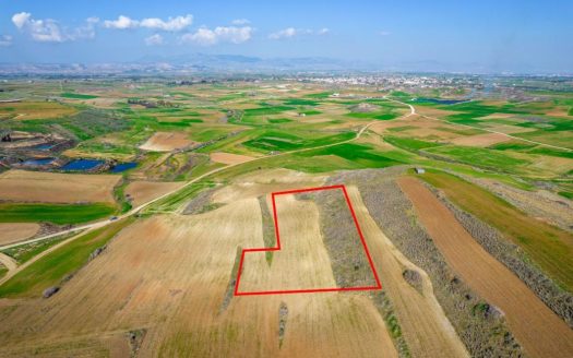 Field in Orounta, Nicosia