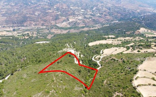 Field in Prastio, Paphos