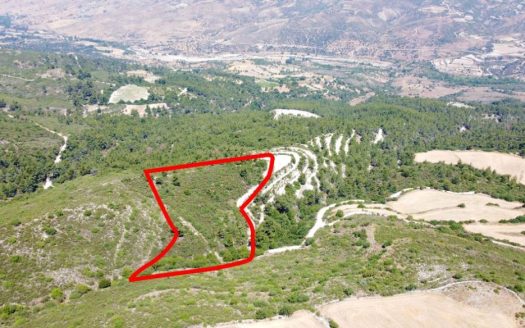 Field in Prastio, Paphos