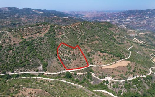 Field in Dora, Limassol