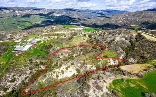 Field in Dora, Limassol