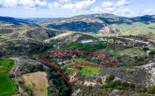 Field in Dora, Limassol