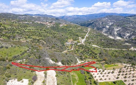 Shared agricultural fields in Arminou, Paphos