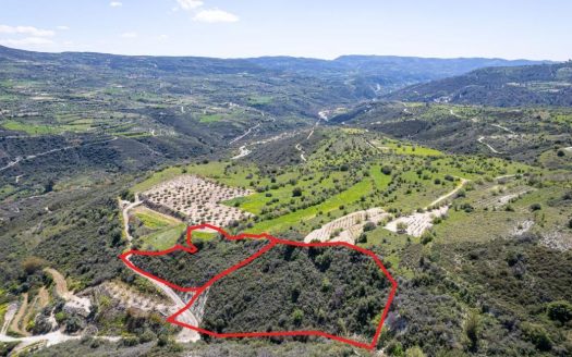 Shared agricultural fields in Arminou, Paphos