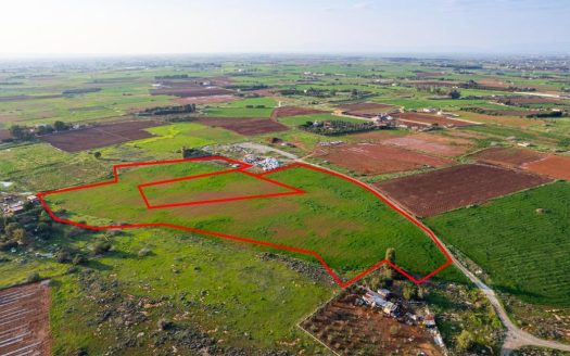 Shared agricultural fields in Frenaros, Famagusta