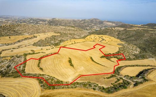 Shared field in Choirokoitia, Larnaca