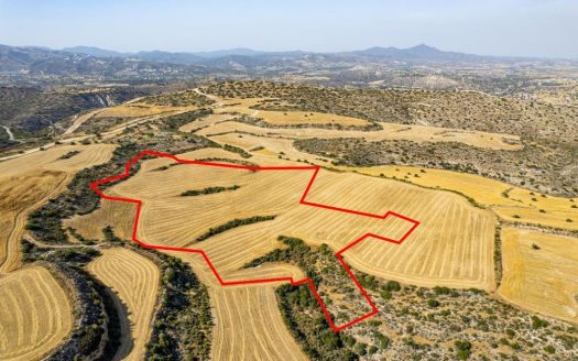Shared field in Choirokoitia, Larnaca