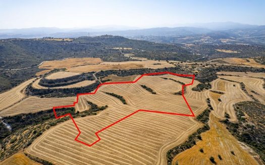 Shared field in Choirokoitia, Larnaca