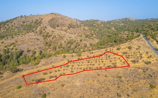 Field in Agia Marina Xyliatou, Nicosia