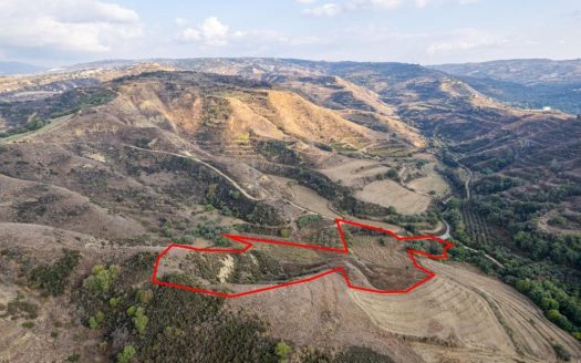 Shared agricultural field in Giolou, Paphos