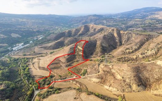 Shared agricultural field in Giolou, Paphos